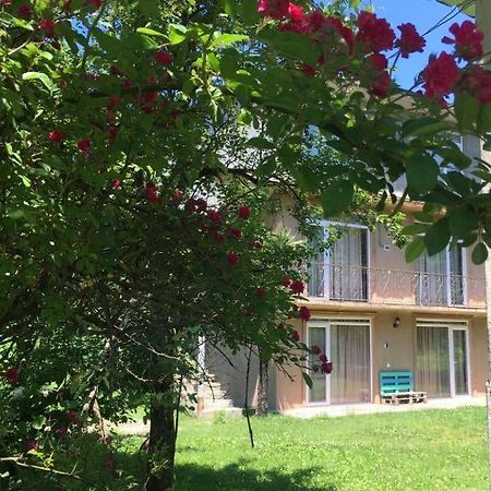 Dani'S House Apartment Kobuleti Bagian luar foto