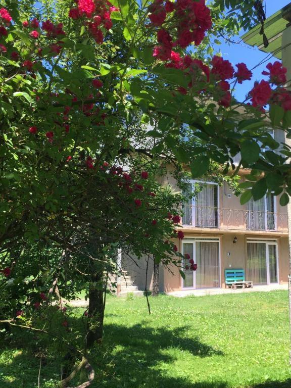 Dani'S House Apartment Kobuleti Bagian luar foto
